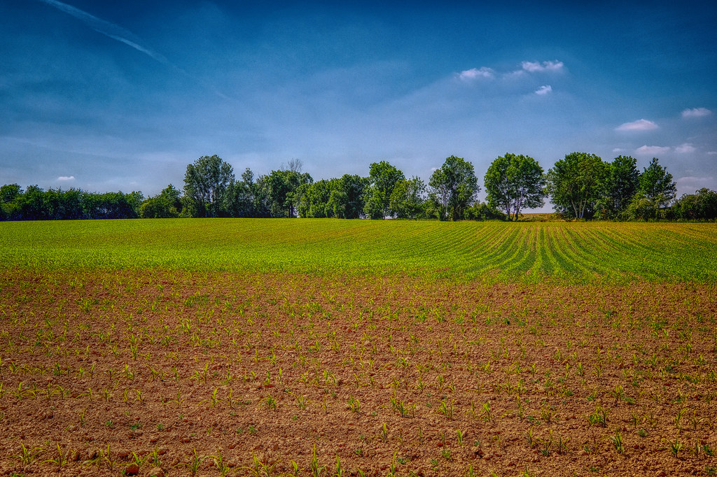 Biofuels trading